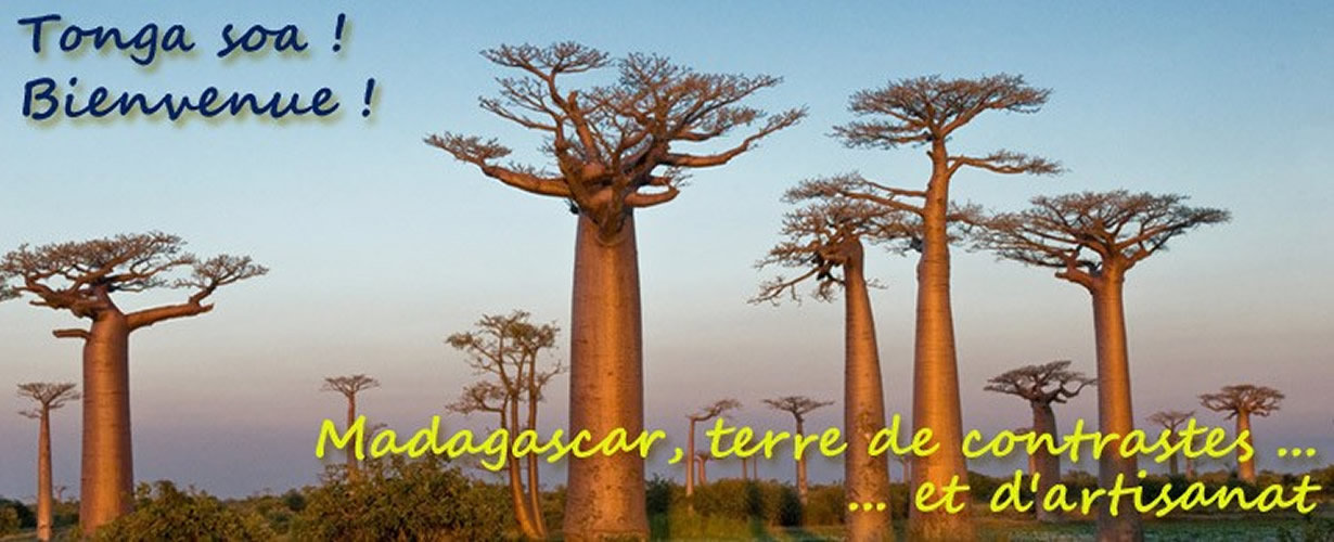 Bienvenue sur Art de Madagascar !