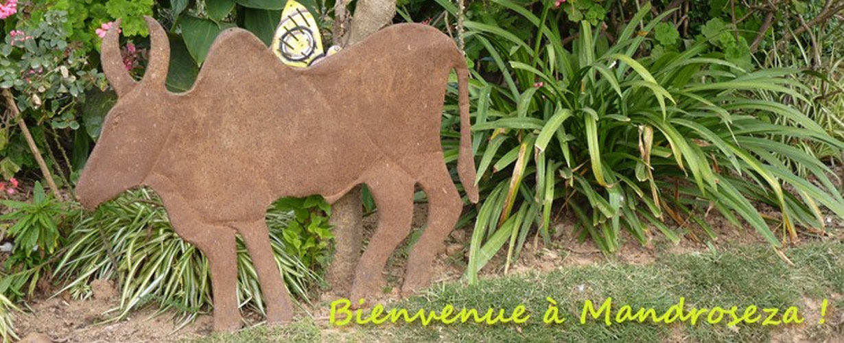Bienvenue à l'atelier solidaire de Violette - Art de Madagascar