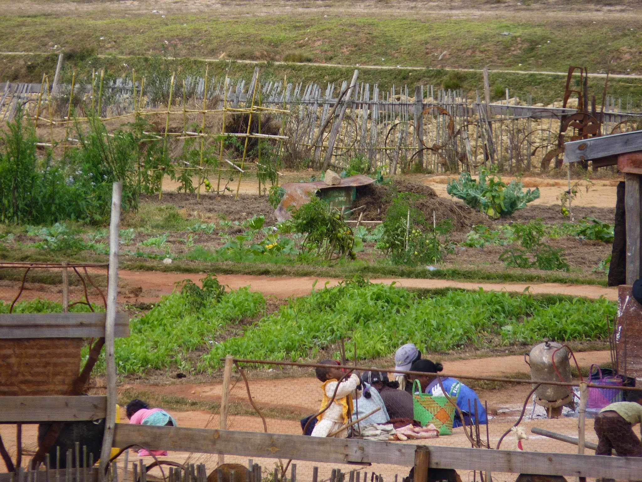 Le jardin de l'atelier solidaire - Art de Madagascar Le jardin de l'atelier solidaire - Art de Madagascar