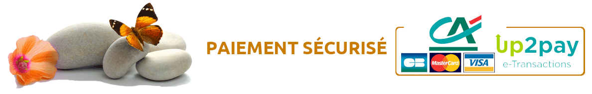 Paiement sécurisé sur Art de Madagascar